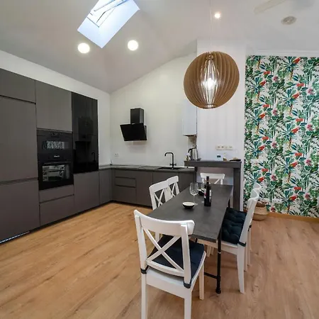 Atico Caprichos Aranda דירה ארנדה דה דוארו