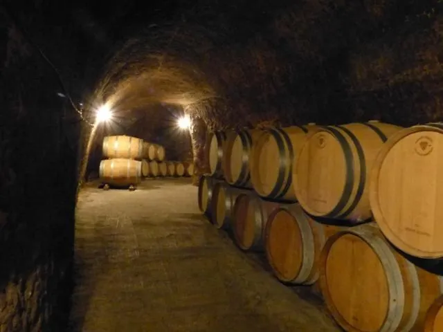 아파트 Atico Caprichos Aranda 아란다데두에로